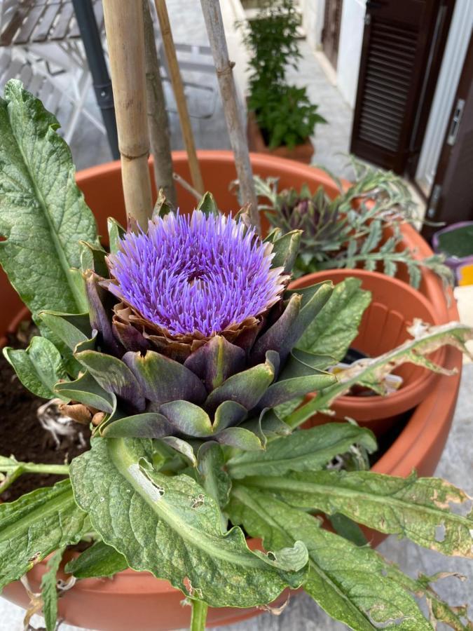 Officinale Rome Apartment, Pineta Sacchetti Kültér fotó