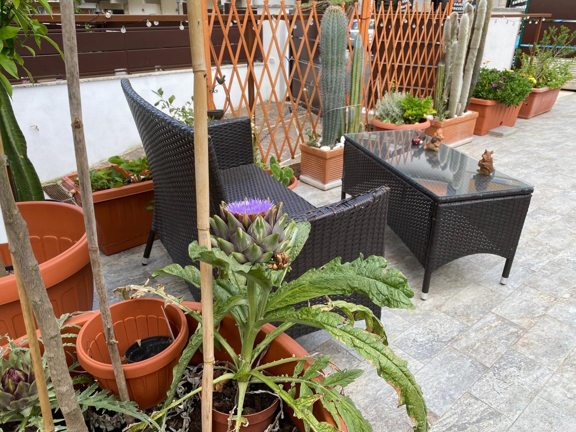 Officinale Rome Apartment, Pineta Sacchetti Kültér fotó